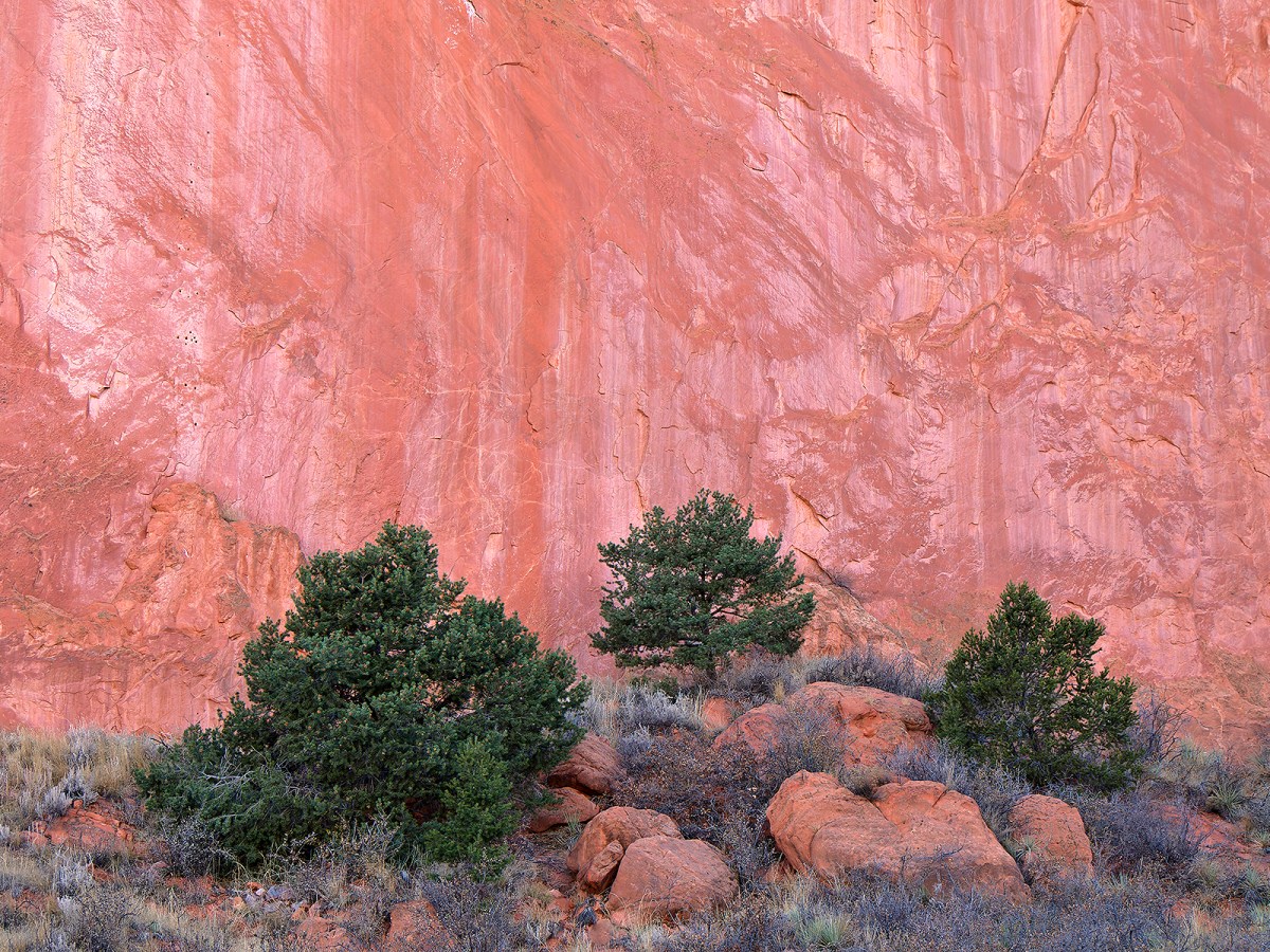 Garden of the Gods