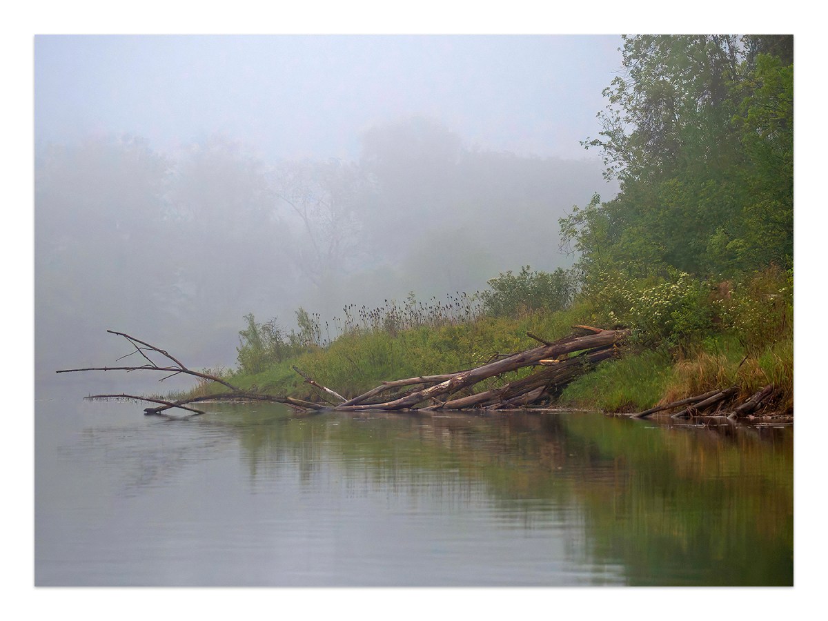 Foggy morning kayaking