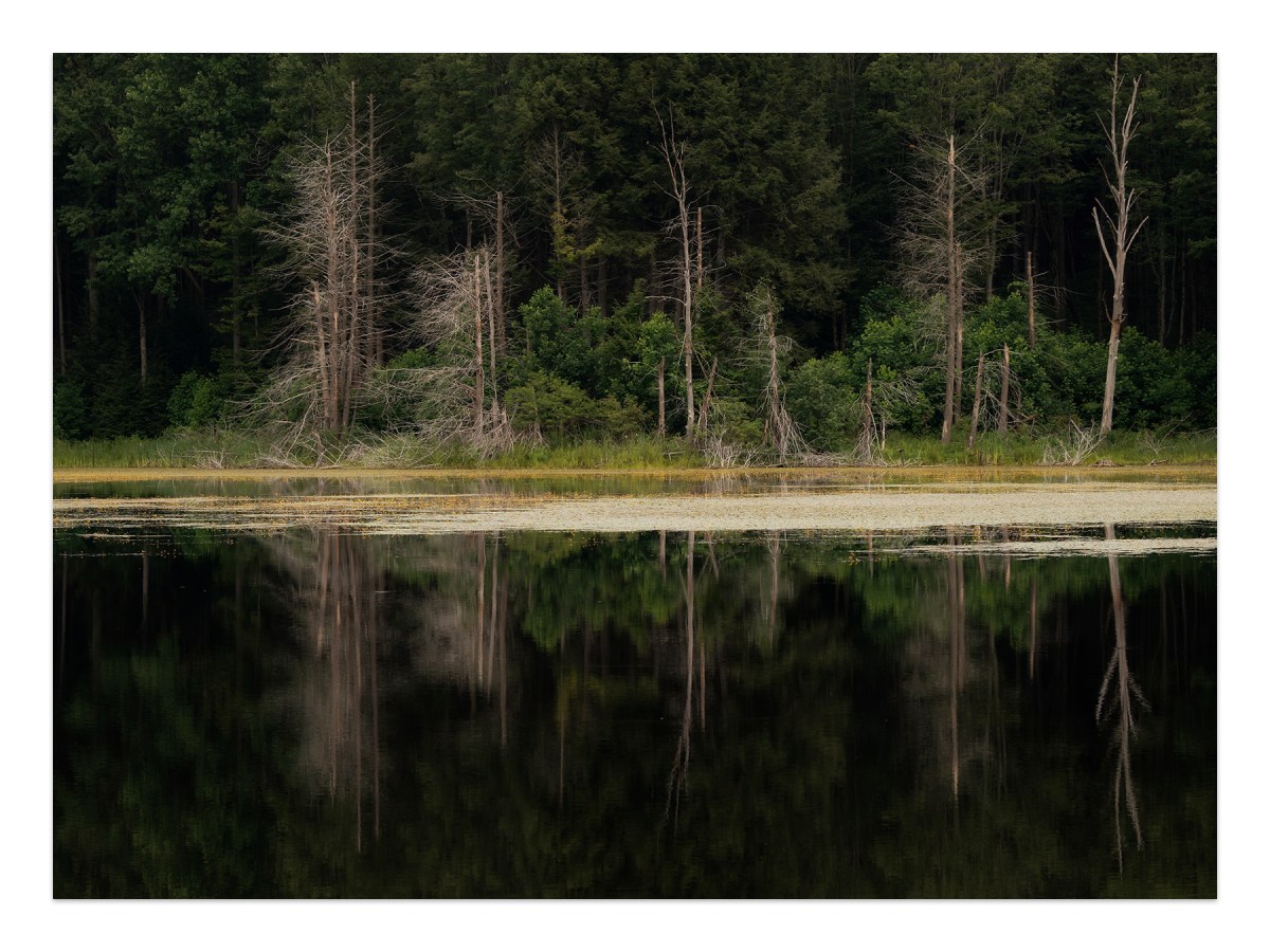 Holcomb Pond 2
